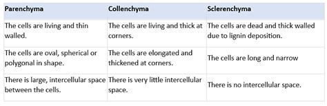 Class 9 Science Chapter 6 Question Answers - Tissues