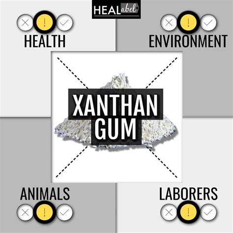 Xanthan Gum Uses