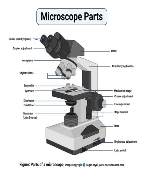 Microscope Terminology 的图像结果