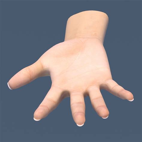 Image result for Female Hand 3D Modeling