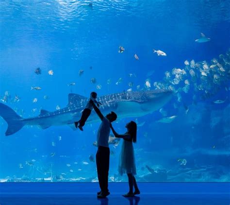 10-DAY FAMILY CHINA TOUR: CHIMELONG, PANDAS & RESORT FUN - All You Need ...