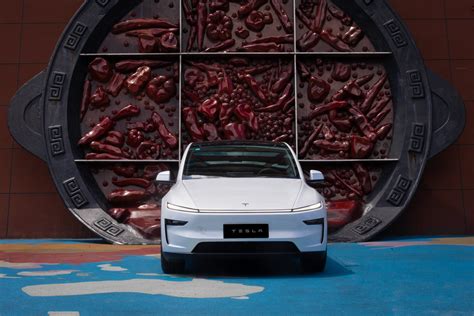 Image result for Tesla Tutorial for Model Y