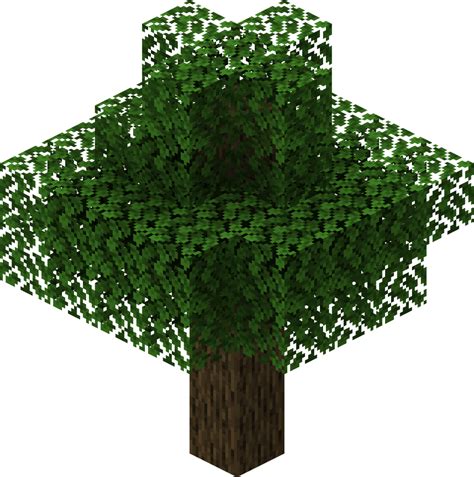 Image result for Medium Minecraft Tree