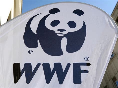 World Wildlife Fund Logo
