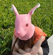 Image result for Eastern Cottontail Rabbit Head