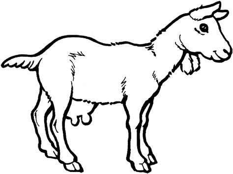 Goat Coloring Sheet