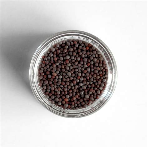 Brown Mustard Seeds