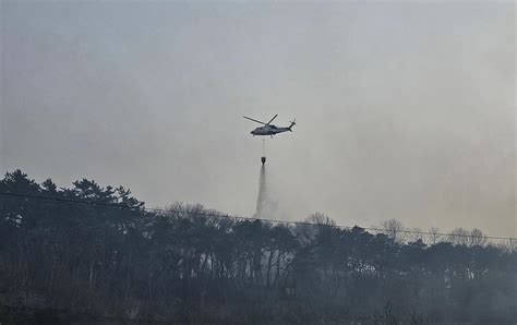 Firefighters battling wildfire in eastern part of DMZ: JCS - The Korea ...