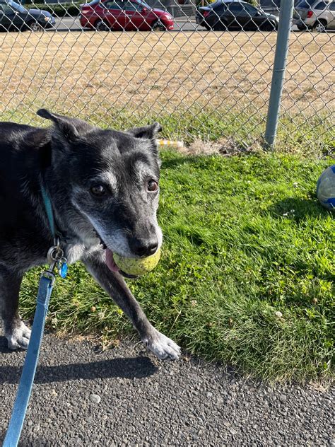 McKnight Middle School, 1200 Edmonds Ave NE, Renton, WA, Schools - MapQuest