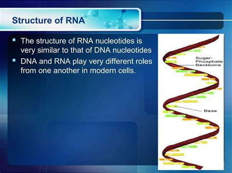 RNA Types 的图像结果
