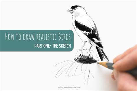 Image result for Drawing Birds Tutorial