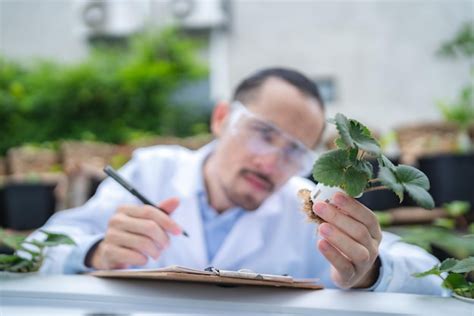 Agriculture Scientist 的图像结果