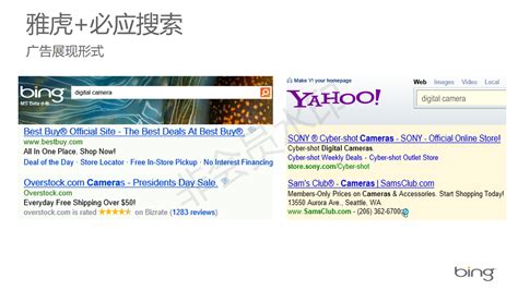 Bing（必应）海外推广介绍 - 谷歌海外推广_Google广告_Bing推广_Facebook推广_谷歌代理商【专业海外营销16年】