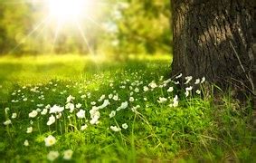 Image result for Basic Addition in C Programming