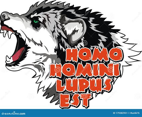 Wolf with an Inscription in Latin. Man To Man is a Wolf. Isolated Over ...