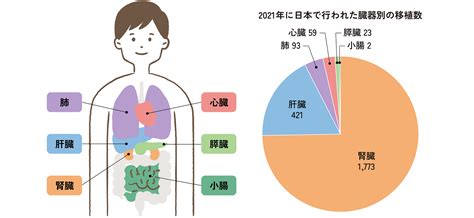 Image result for Computer Output Chart