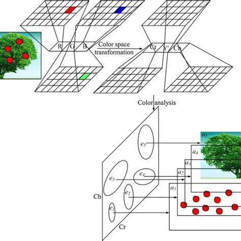 Image result for Cblae Color Code for Each Region