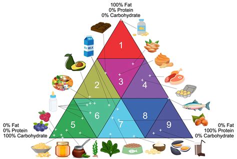 Food Pyramid 2022 Usda