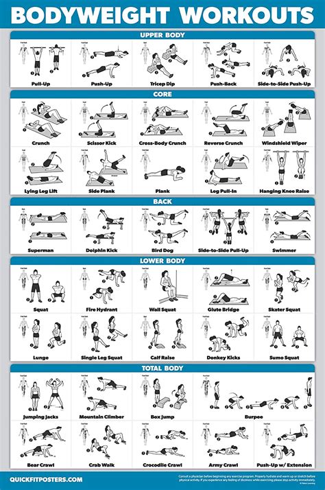 Exercise Workout Chart 的图像结果