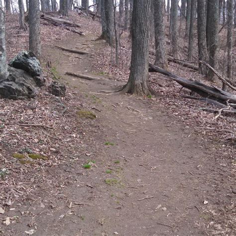 Craven Gap Trail (Asheville) - All You Need to Know BEFORE You Go