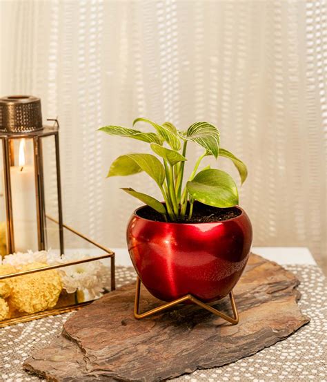 Metal Planters