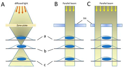 Targeting Specific Sites in Biological Systems with Synchrotron X-Ray ...