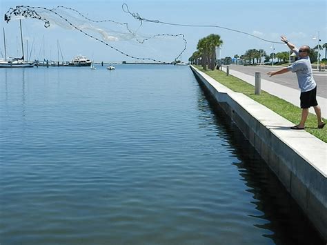 Image result for Cast Net Help