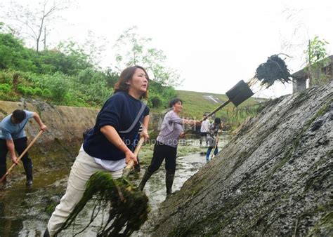 城东街道组织清理湖漫水库泄洪道河床堆积的淤泥和沙石，确保温岭“大水缸”泄洪畅通_进行