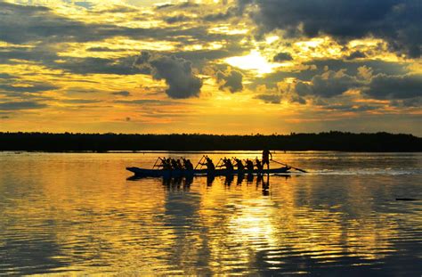 Who Owns Synchrony Bank: Key Investors Exposed