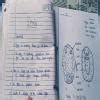 how to make practical file - Brainly.in