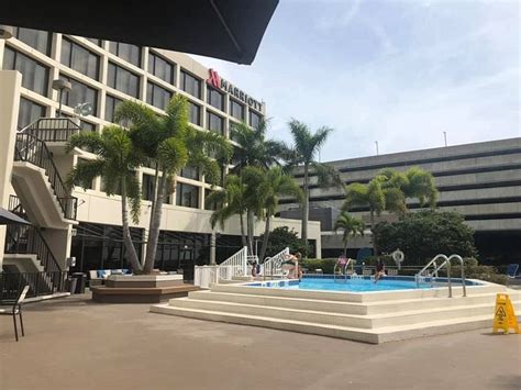 Tampa Airport Marriott Pool Pictures & Reviews - Tripadvisor