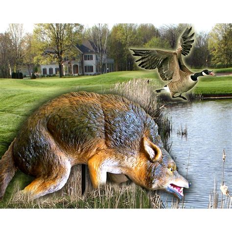 Bird-X Coyote Predator Bird Repellent COYOTE-3D at Lowes.com