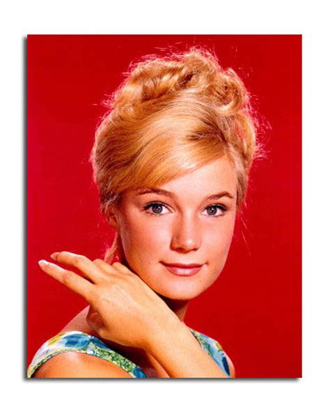 Movie Picture of Yvette Mimieux buy celebrity photos and posters at ...