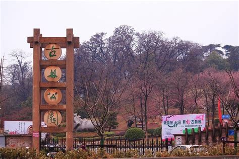 南京古林公园有哪些游乐项目-