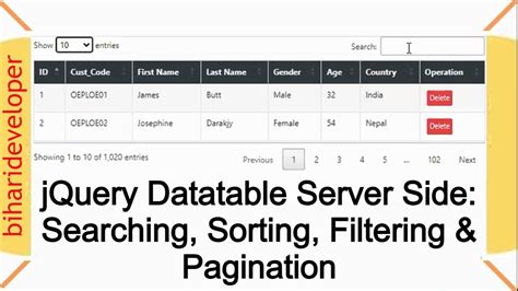 DataTable jQuery Example 的图像结果