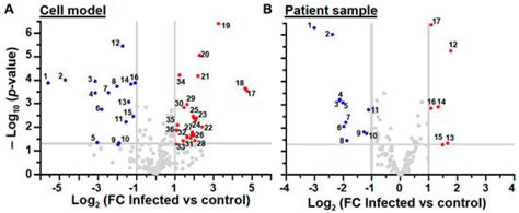 Kinases and Phosphatases | An Open Access Journal from MDPI