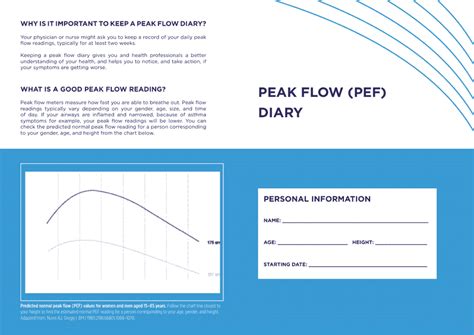Image result for Peak Flow Meter Chart How to Use