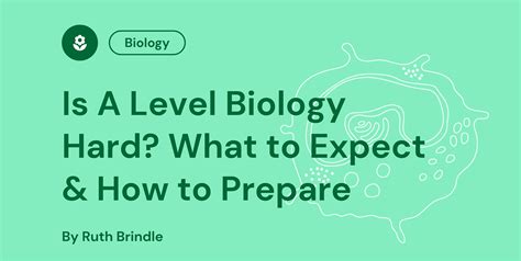 What Is A Level Biology? A Student's Guide