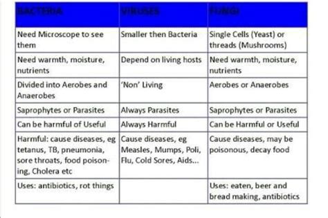 difference b/w viruses fungi and bacteria - Brainly.in