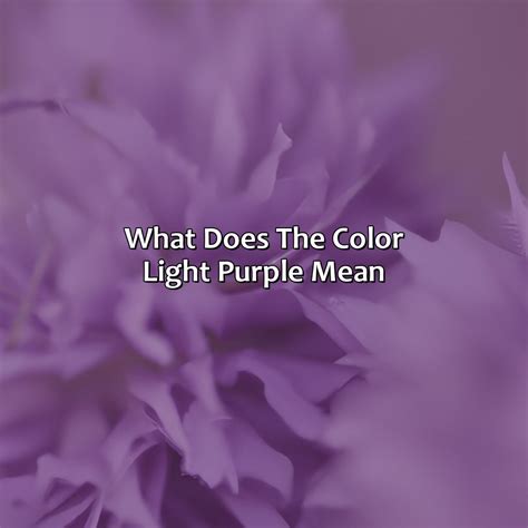 What Does The Color Light Purple Mean at Stanley Urbina blog