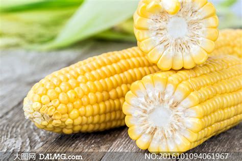 玉米高清图,玉米片,玉米粒图片_大山谷图库