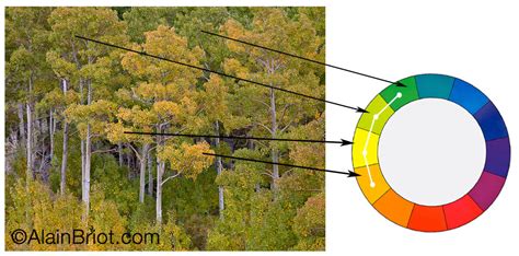 Image result for Parallel Harmony Examples