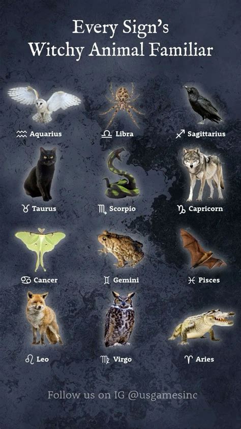 Pictures Of Virgo Animal