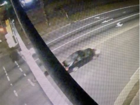 DO YOU KNOW ME? Winterville police looking for pawn shop burglar