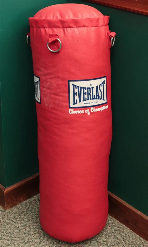 #3680: AN EVERLAST HEAVY PUNCHING BAG