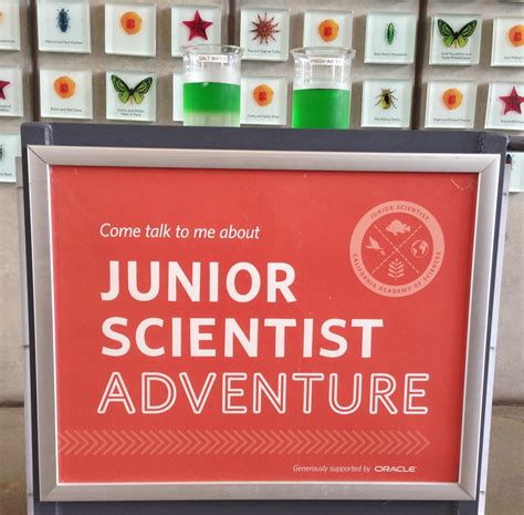 Science Experience 的图像结果