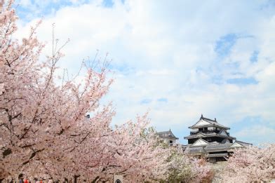 松山 城 に対する画像結果