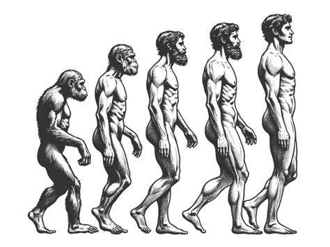 Evolution of Man Vector 的图像结果