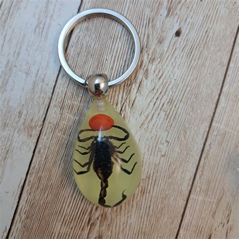 Bug Keychains 的图像结果