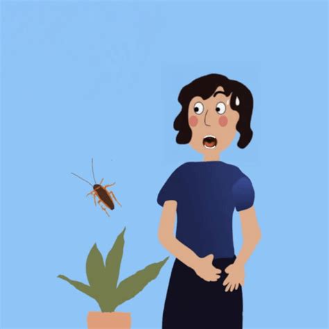 Flying Cockroach Meme 的图像结果